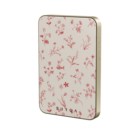 CB_20MS_MagPbank5K-GO