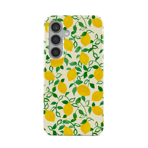 CM_15_S24_TH-magnetic