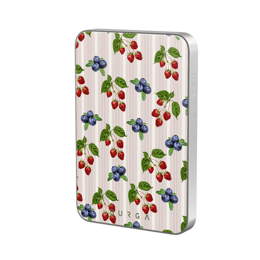 CP_10MS_MagPbank5K-SI