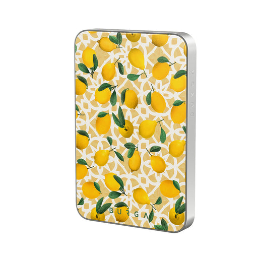 LL_01MS_MagPbank5K-SI