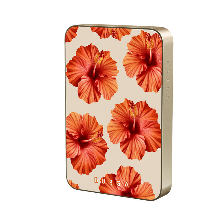 RS_10MS_MagPbank10K-GO